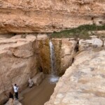 1/26:タメルザの滝